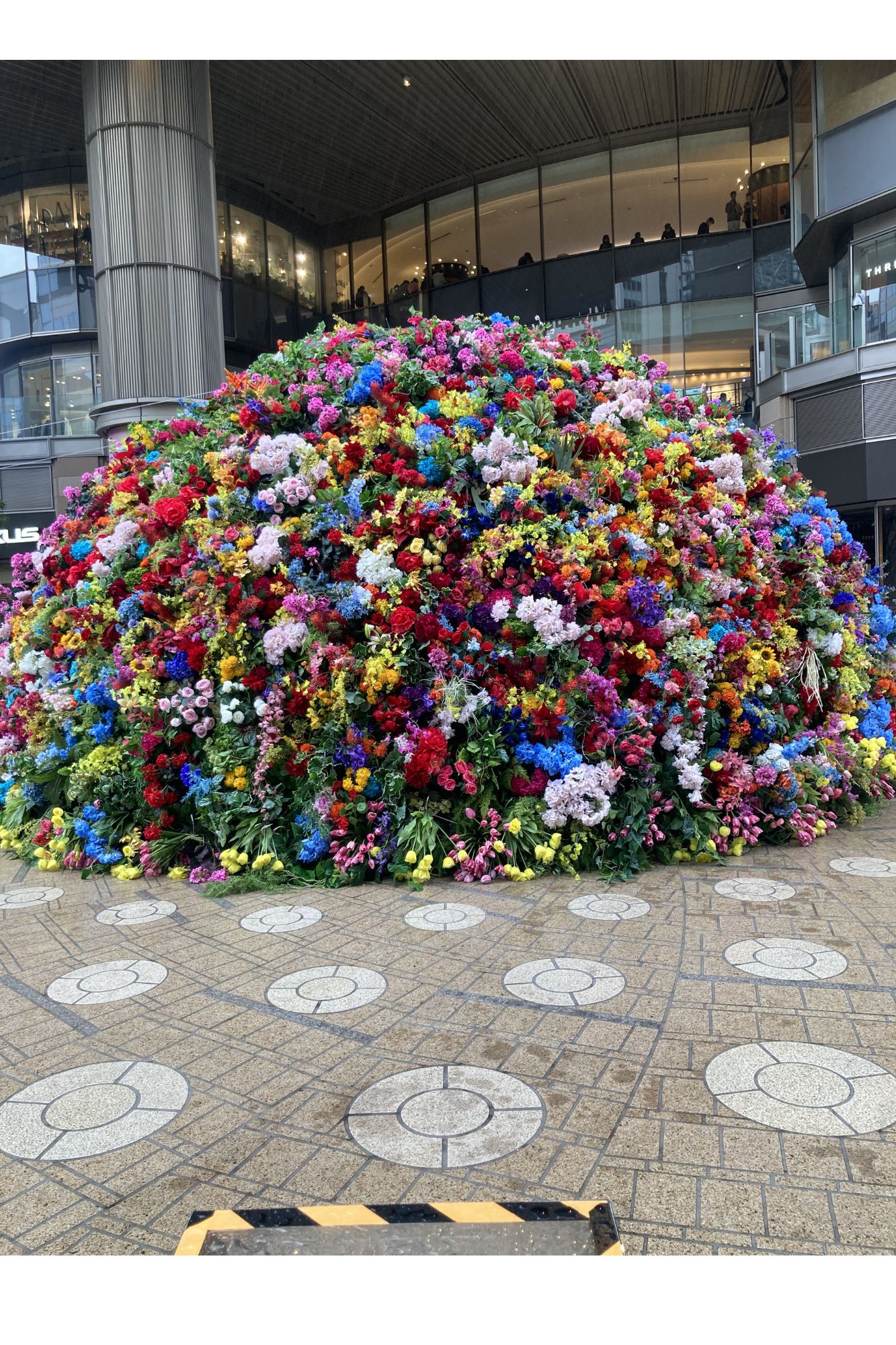 『ウィキッド　ふたりの魔女』を観た感想